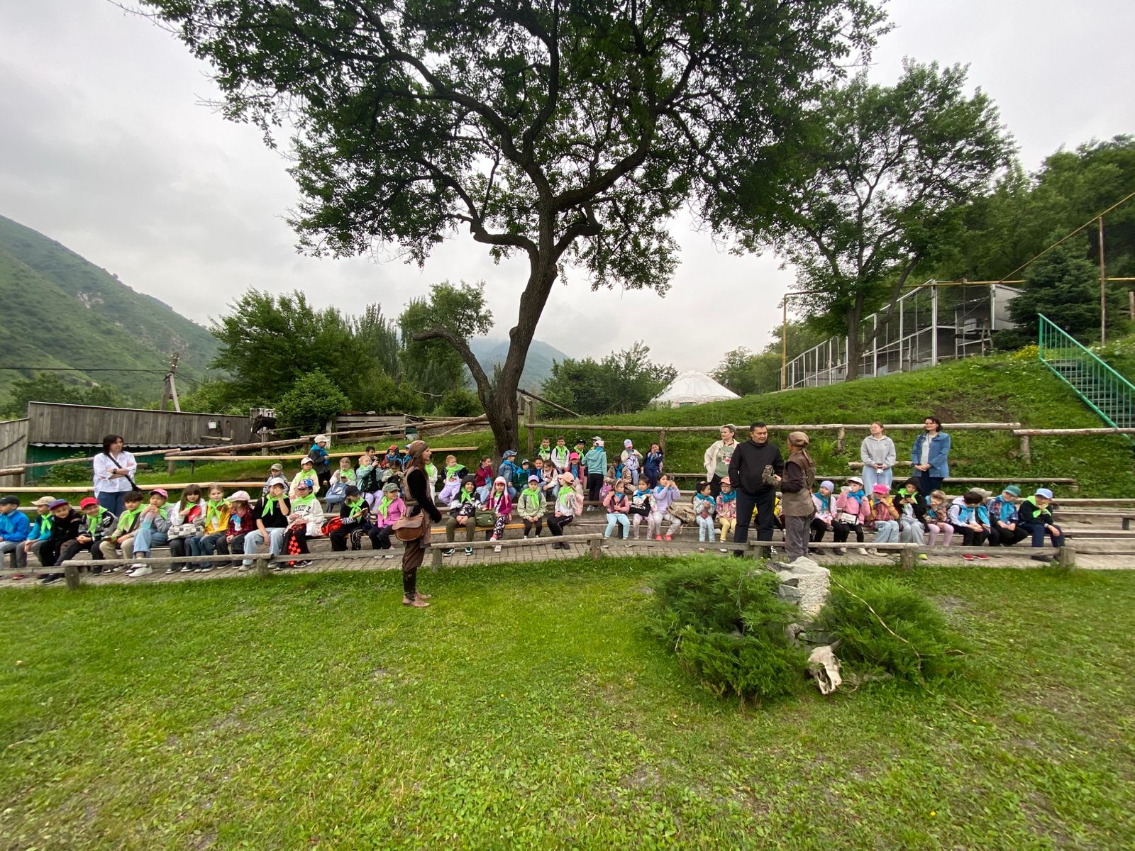 🦅 Қыран құстарға қонаққа: Сұңқарлар орталығына қызықты экскурсия